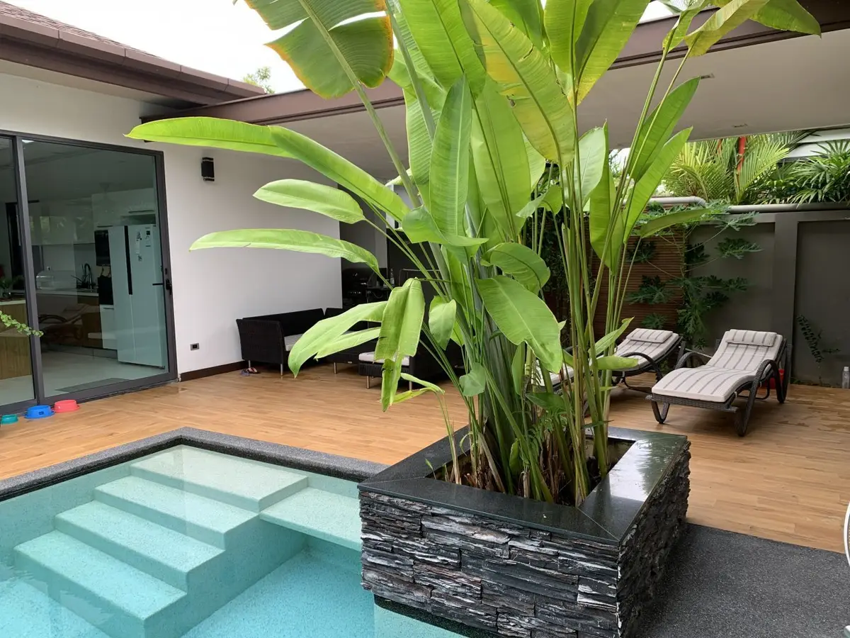 3-Bed Private Pool Villa to Rent at The Lake House, Cherng Talay — Cherng Talay · 3/15